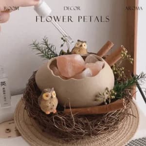 picture of Fragrant Stone Diffuser