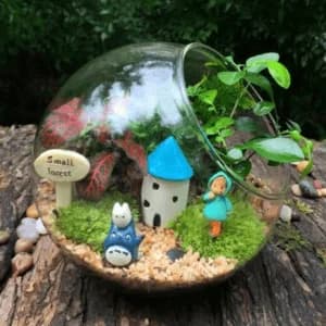picture of Miniature Glass Garden Terrarium
